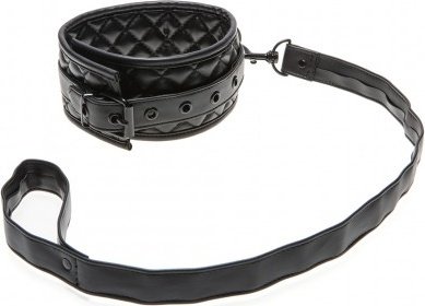 X-play collar + leash,  4, X-play collar + leash
